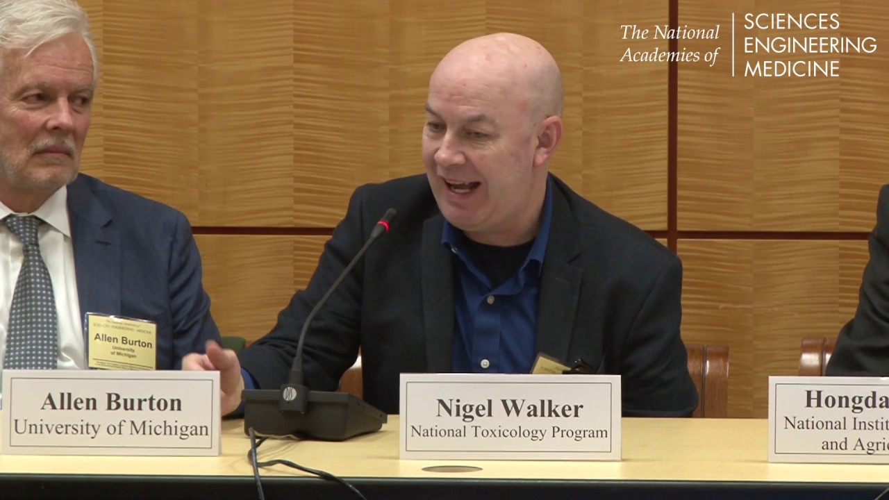 Session 2 Panel Discussion: Understanding the Effects of Microplastics on Human Health