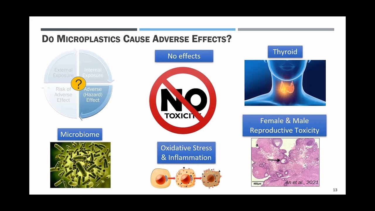 Session 3: Impact of Microplastics on Human Health