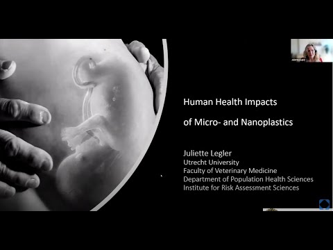Human health impacts of micro- and nanoplastics
