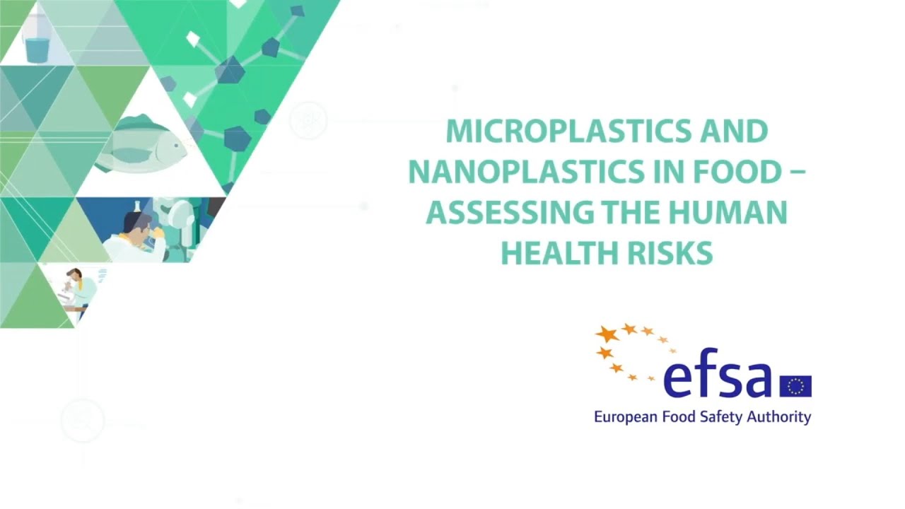 Microplastics and nanoplastics in food – assessing the human health risks