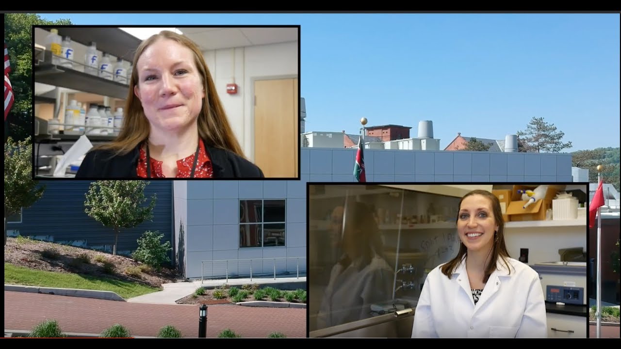 MU Research: Biological Effects of Microplastic and Nanoplastic ingestion